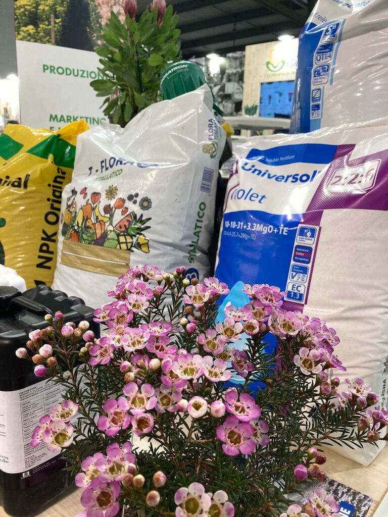 Flora Toscana (@floratoscana) on Twitter photo 