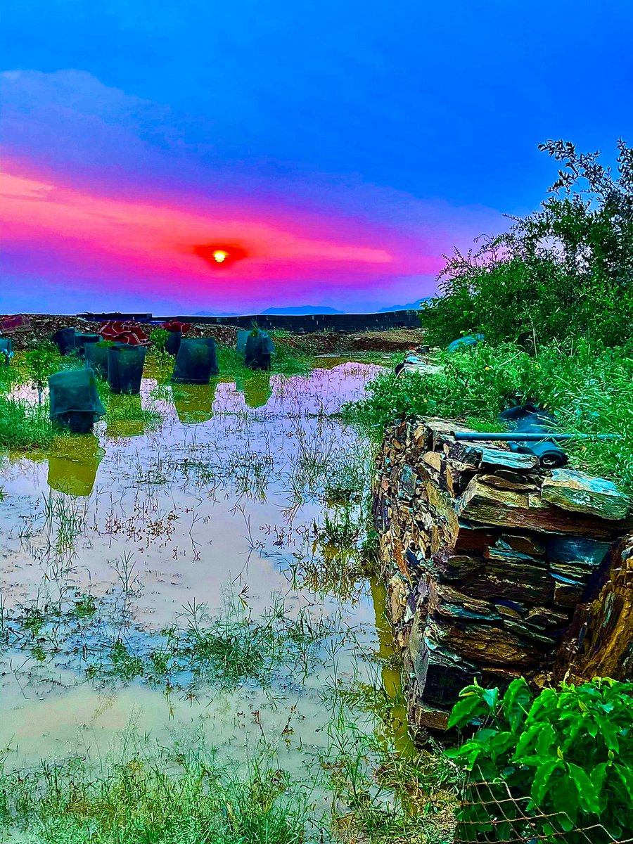 JAlgharb's tweet photo. #جبل_الغارب #محافظة_قلوة #قرية_الغارب https://t.co/nRQoDGdLaS