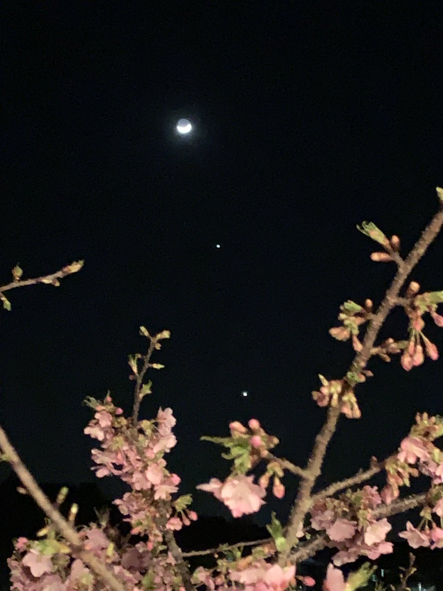 hamacafe330's tweet photo. 三日月、木星、���星
お行儀良く、並んでますよ
西の空を見上げて下さい https://t.co/vqkHE7mUxQ