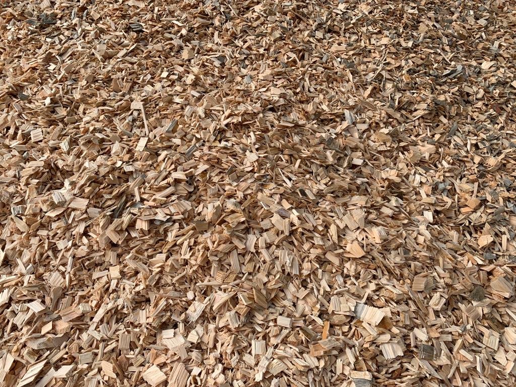 Andorra_RI's tweet photo. Agraïm el tracte rebut durant la visita a @fustessebastia. Molt inspirador per desenvolupar projectes econòmicament i ecològicament sostenibles. Un exemple d’economia circular, tecnologia + sostenibilitat

El context de canvi climàtic i emergència energètica demana ser innovadors https://t.co/RkqrTlnI4q