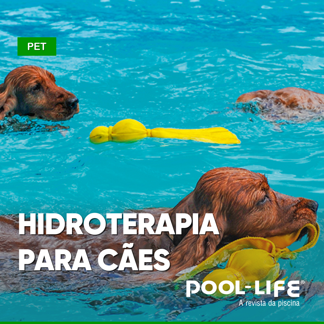 Rev_Pool_life's tweet photo. Artigo novo no BLOG!
Tratamento é indicado para pets obesos, no pós-operatório de problemas ortopédicos e para outros males que atingem principalmente os animais adultos e idosos
Leia + https://t.co/YcYFLYrt46
#poollife #blogdapiscina #pet #petnapiscina #anapp https://t.co/m0EpKaRMR2