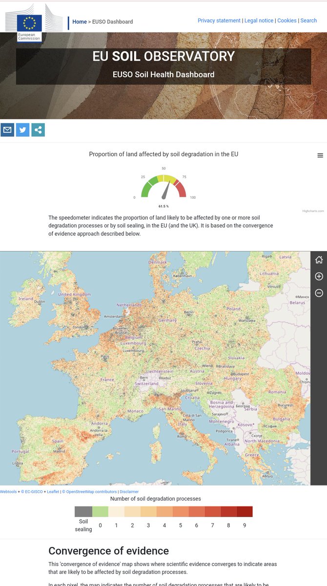 Anne Maréchal tweet media