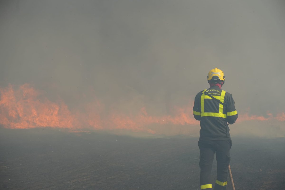 SecCivileFrance's tweet photo. #JeudiPhoto 📸👨‍🚒Opérations de sauvetage-déblaiement et interventions médicales en #Turquie, lutte contre les #FeuxDeForêt au #Chili... Retour en images avec les sapeurs-sauveteurs des 3 unités de la Sécurité civile mobilisées partout dans le monde !
#EuCivPro 🇪🇺🇫🇷 https://t.co/Yhokd4jlTC