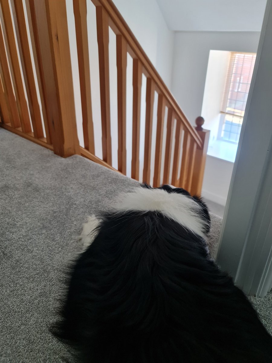 👑【QueenE of the Void】🌌 tweet media