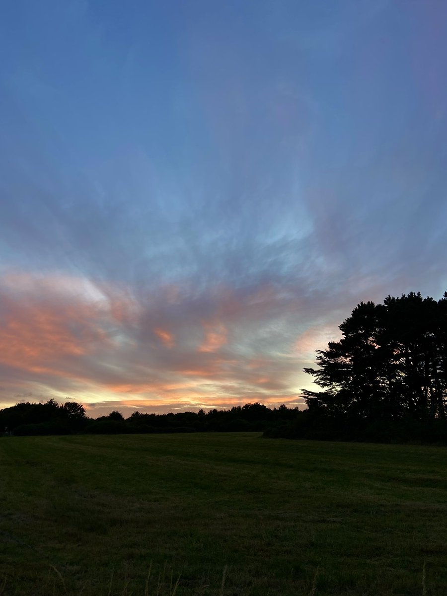 Tiphgd's tweet image. Je suis fan de mes photos 🧡💜💛