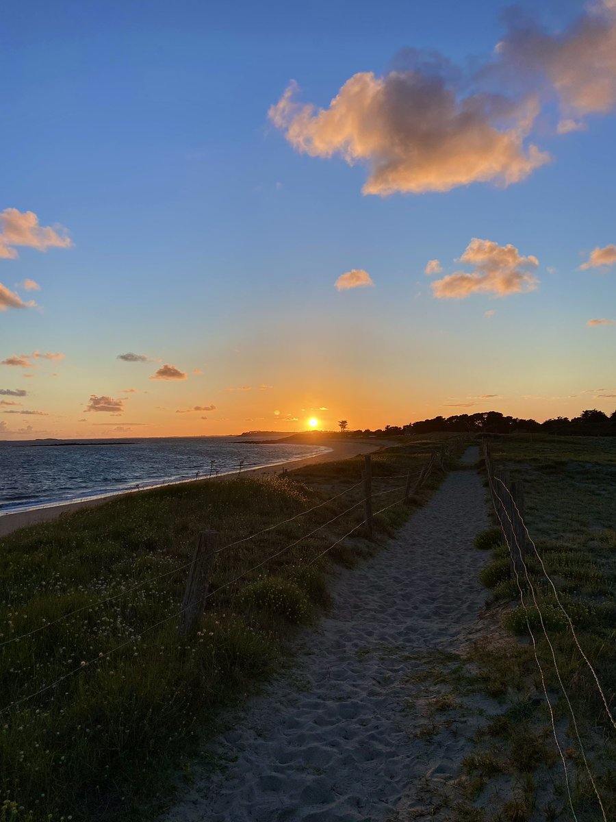 Tiphgd's tweet image. Je suis fan de mes photos 🧡💜💛