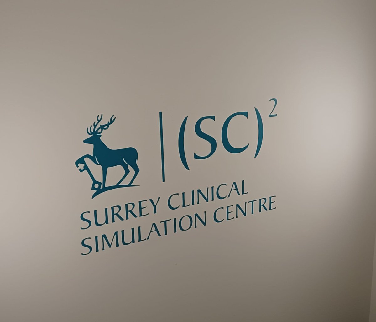 Big thank-you to @Dan_Blood who gave a multi-discipline team from @PAHospice a fascinating tour around @surreysimtech. Simulation of real life situations in a safe environment create such valuable learning experiences for years to come.