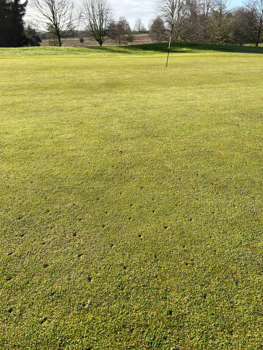 More positive course actions this week. Tee preparations, greens tined  and fusarium preventatives. <a href="/JohnHartBGC/">John Hart</a>
