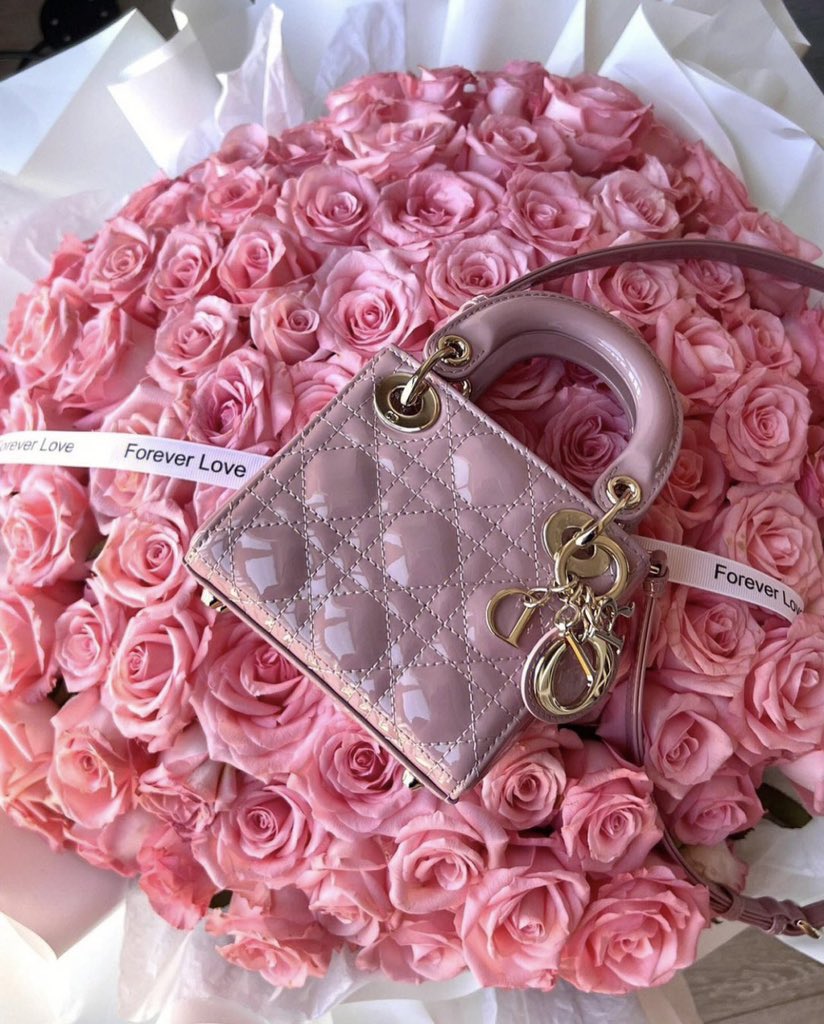 Dani Marie | Tampa 2/22+23 on Twitter: "RT @bottegalolita: Lady Dior bag"