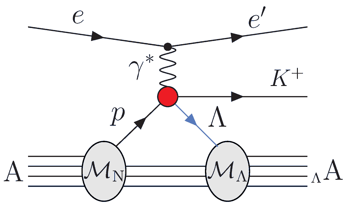 Particles_MDPI's tweet photo. 📚#mdpiparticles #EditorsChoice
👉"#Extracting #Hypernuclear Properties from the (e, e′K+) #Cross Section"
✍ Paper written by: Omar Benhar
👉 Link: https://t.co/8Fjk9OLJ8q https://t.co/u9UGk3QMO6