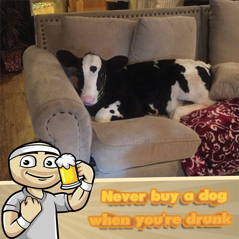 Alcoholympics1's tweet photo. Alcoholympics, Coming Out This Summer! 🍻🍾🍷
Test your skills and challenge your friends in the ultimate drinking game! 🍺🏁🍸

#alcoholympics #drinkinggame #drinkingapp #drinking #drunk #party #mobile #game #app #mobilegame #gaming #partygame #beer #meme #memes  #fyp #hangover https://t.co/PWrpFjXZlF
