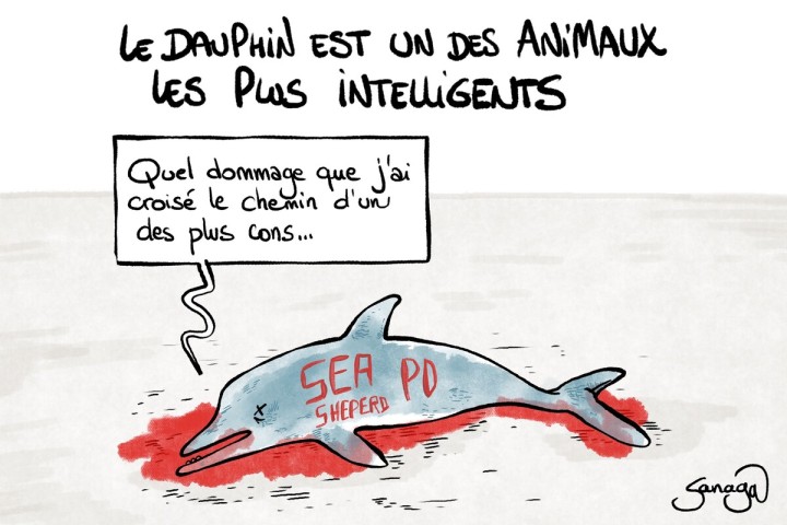 Stephane D. tweet media