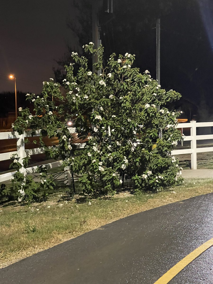 DebSal24's tweet photo. Never wait for a perfect moment, just take a moment and make it perfect. πͺπΌπ’πΆπ»ββοΈ #SalinasStrong #CommunityChallengeAccepted https://t.co/8nRAfYdu1f