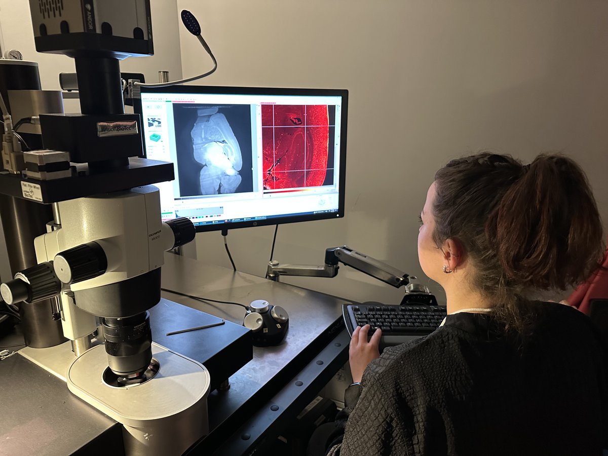 iins_bordeaux's tweet photo. 💡#Project | Floriane Uytterspot just started iDISCO+ immunolabeling and light-sheet imaging experiments on whole brains using the #ultramicroscope of the @BIC_Bordeaux to map c-fos expression, reflection of neuronal activity!🔬
@Neuro_Bordeaux https://t.co/5ERi9VNYvG