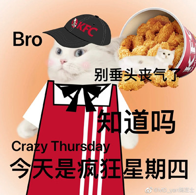 加密边境🧙🏻♂️ tweet media