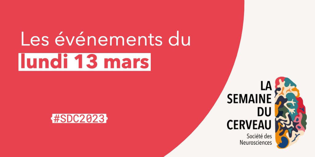 [🎉Jour 1]

La Semaine du Cerveau commence aujourd'hui. De nombreux événements vous attendent partout en France 🤗.

Retrouvez tous les événements de la journée du 13 mars 👉🏼 bit.ly/3Y3IAnm

#SDC2023