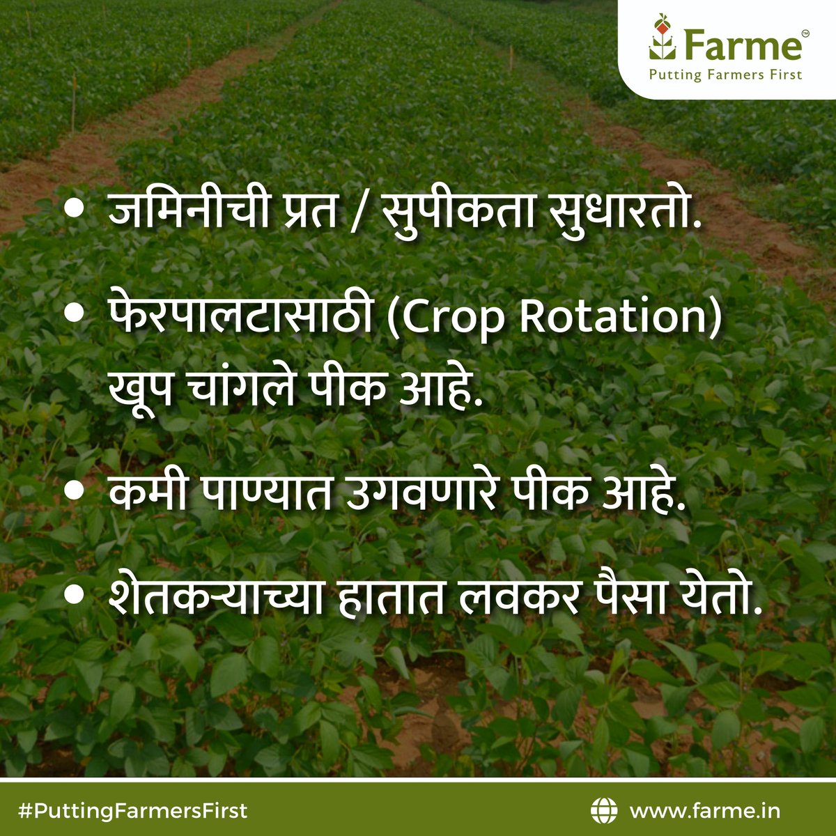 farmeofficial's tweet photo. पीकाचा काळ कमी, सोबत नफ्याची हमी !
जाणून घ्या उन्हाळी हंगामात उडीद व मुंग लागवडी चे फायदे.

अशाच पिकांच्या अधिक माहितीसाठी @farme ला फॉलो करा आणि तुमच्या  शेतकरी मित्रांना शेअर करायला विसरू नका.
#summercrops #greengram #blackgram #summers #puttingfarmersfirst #pesticide https://t.co/m1ARDjdvy5