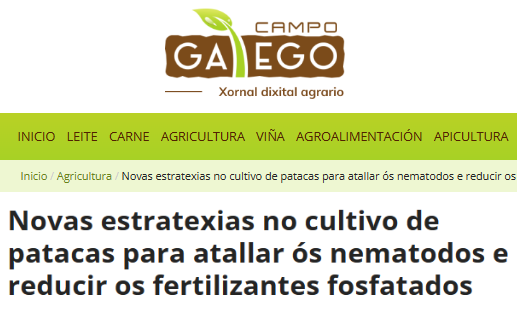 SoildiverAgro's tweet photo. "New strategies in #PotatoCultivation to attack #nematodes and reduce #PhosphateFertilizers"
📝 @campogalego covers the past journey in Xinzo de Limia about 🥔 #PotatoProduction
Do you want to deep into it? You can do so in the following link:
https://t.co/U7hOCdAjx0 https://t.co/X1nUBuWPq0
