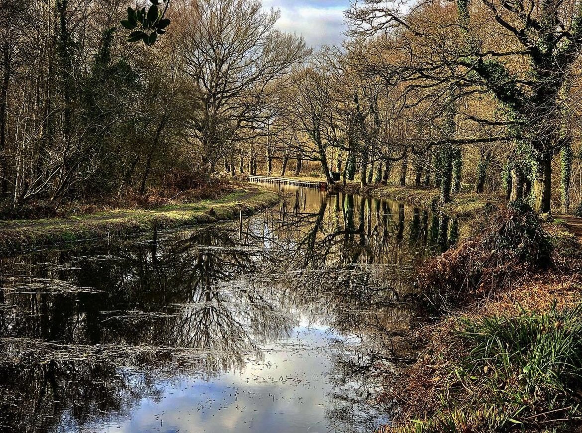 A beautiful shot of Basingstoke Canal by @deltaromeo63 📸

Remember to tag us in all your pictures of Woking for a chance to be featured on our page!

#Woking #Photography #WeAreWoking #Beautiful