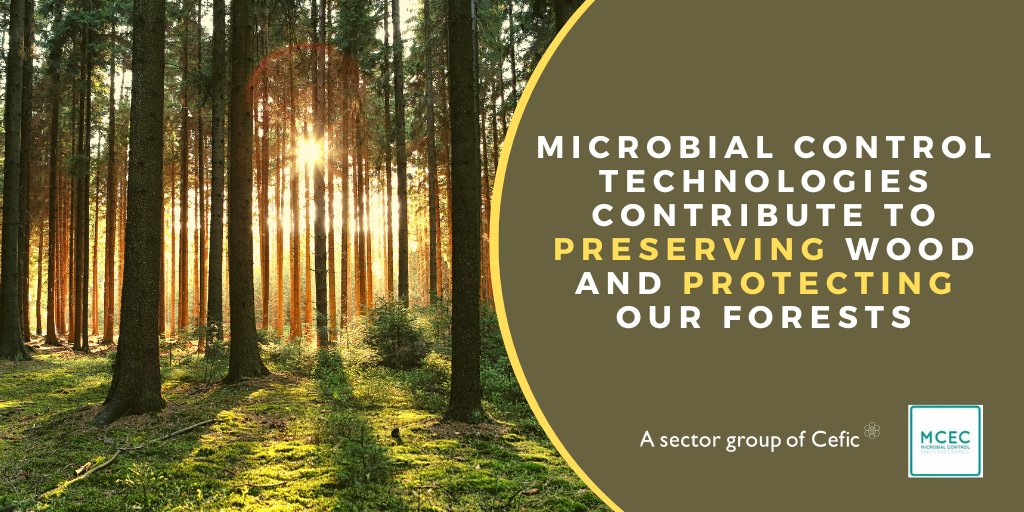 #DYK that #microbialcontrol solutions help protect our forests? Used as wood preservatives, they ensure that wood in our homes lasts longer, so fewer trees need to be cut down.
Discover more: 
👉 bit.ly/3XPt3If 
#protectandpreserve #biocides #wood