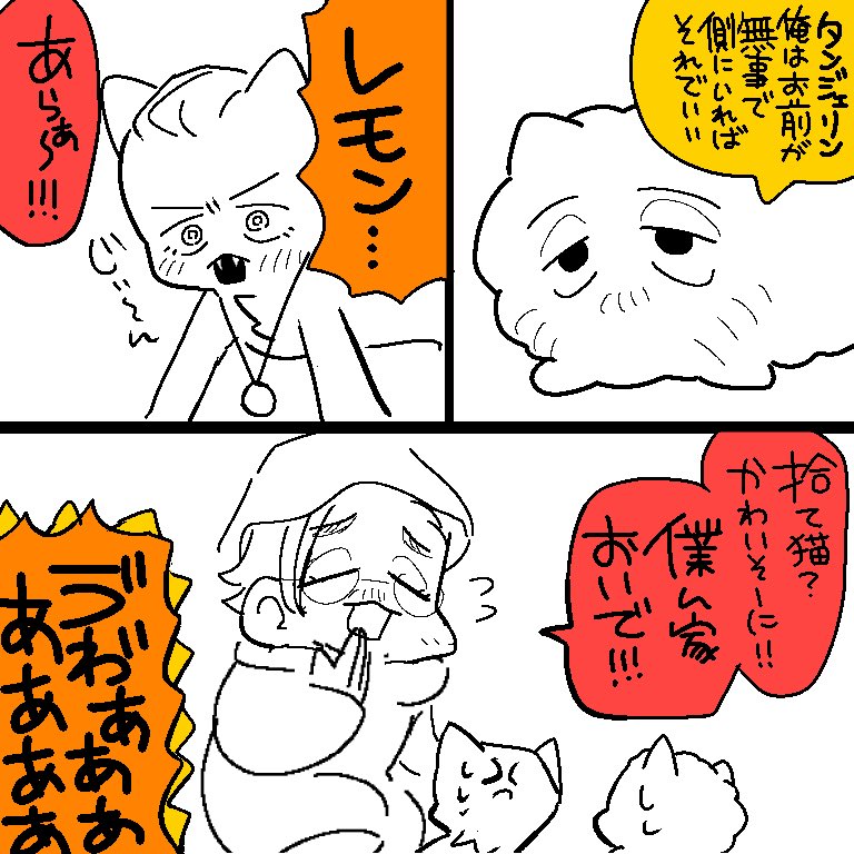 ねこ🍊🍋 