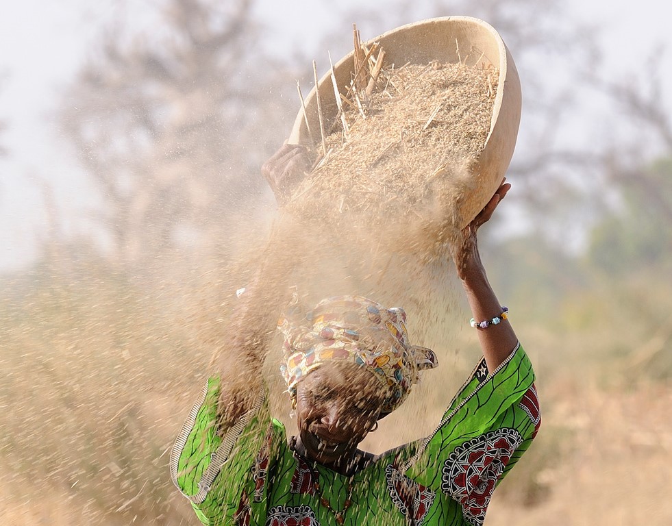 FIDAfriqueOuest's tweet photo. Les agriculteurs ruraux doivent être au centre de la transformation des #SystèmesAlimentaires. 

Les investissements et les changements de politique doivent se concentrer sur les chaînes de valeur alimentaires rurales. https://t.co/FGWivdiEVO