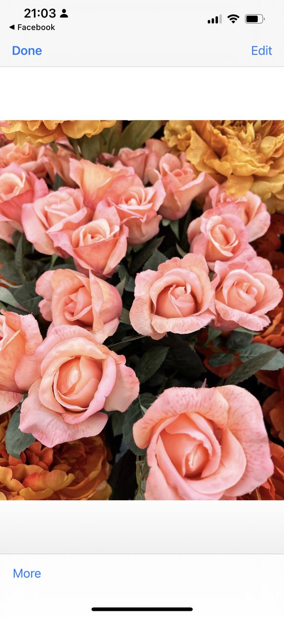 geekuniquebouq1's tweet photo. These are all artificial flowers, so the question is…….do you want to stand out from the crowd on your wedding day?……if the answer is yes!, please get in touch 😍 x ….#weddingflowers #artificialflowers #bride #groom #weddingday #yourweddingyourway #uniqueflower #awardwinning https://t.co/msT8ynSV2r