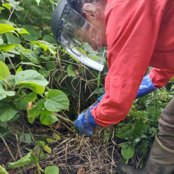 SISI_project's tweet photo. This is a full time, fixed term contract to March 2026. Closing date 6th March. Details and how to apply: https://t.co/JlZIcYQwaa (2/2) https://t.co/JYxygYzGkG