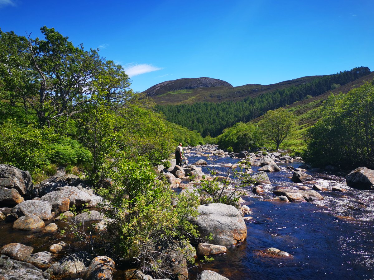 This is a full time, fixed term contract to March 2026. Closing date 6th March. Details and how to apply: invasivespecies.scot/join-us (2/2)