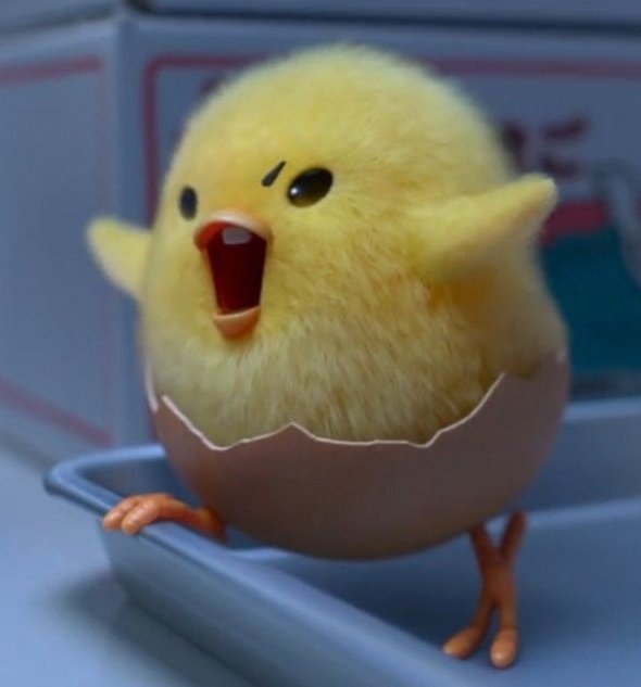 144pjimim's tweet photo. 🐥🐣 https://t.co/PZqYBwvMN6