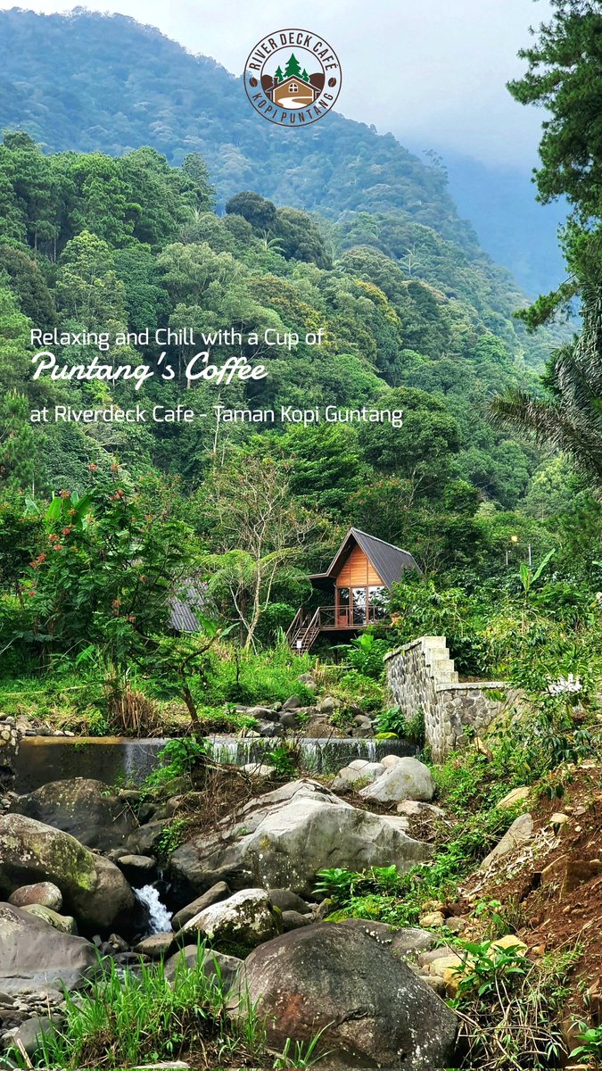 Deean65's tweet photo. suka ngopi?
udah nyoba Kopi Puntang? https://t.co/ipashnj5RZ