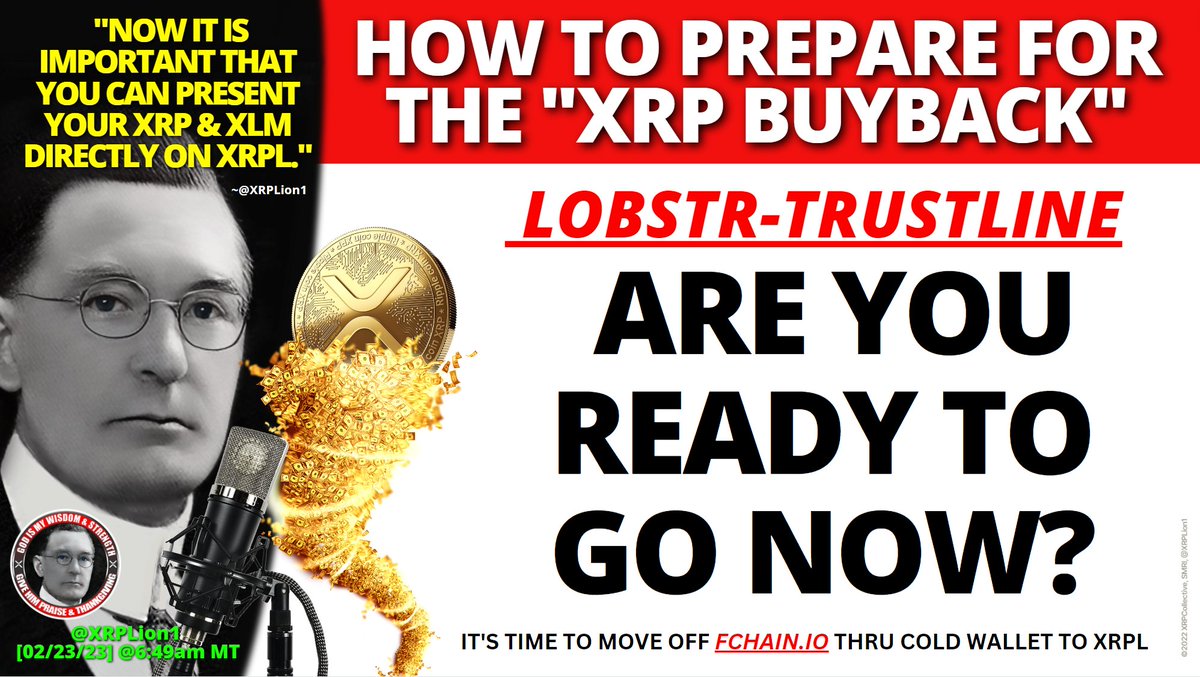 @DAVIDXRPLION tweet media