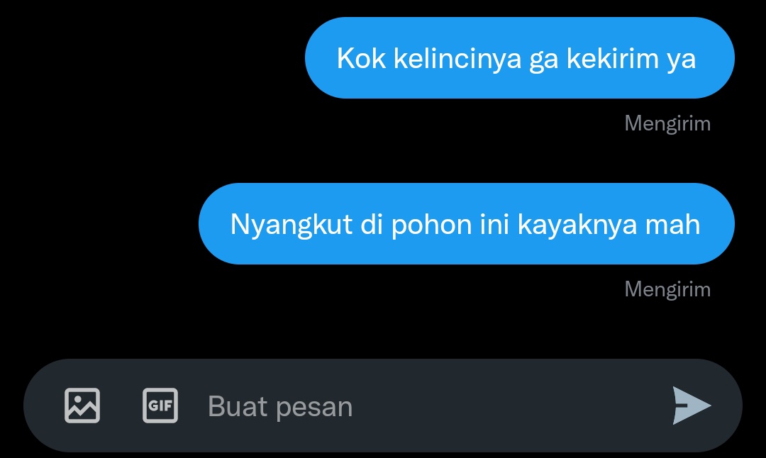 Kelincinya udah nyampe belum?