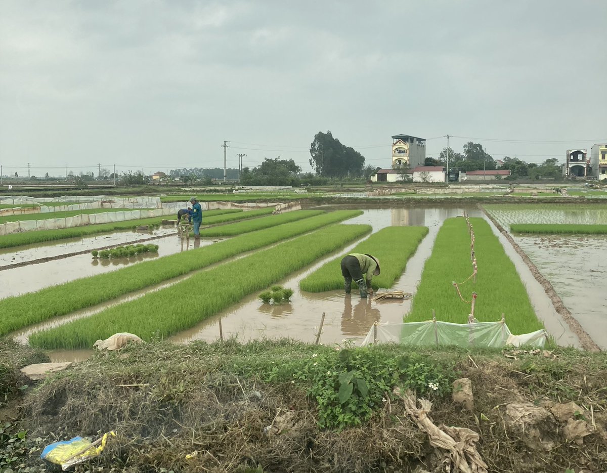 conan_herve's tweet photo. #Vietnam Visite du projet de réhabilitation des infrastructures d’#irrigation financé par @AFD_France dans le district d’#AnThi province d’#HungYen mis en service depuis 2020 :
↗️ des revenus des agriculteurs
✅ enjeux de gestion durable des infrastructures @FranceAuVietnam https://t.co/3WrTxVx1ar