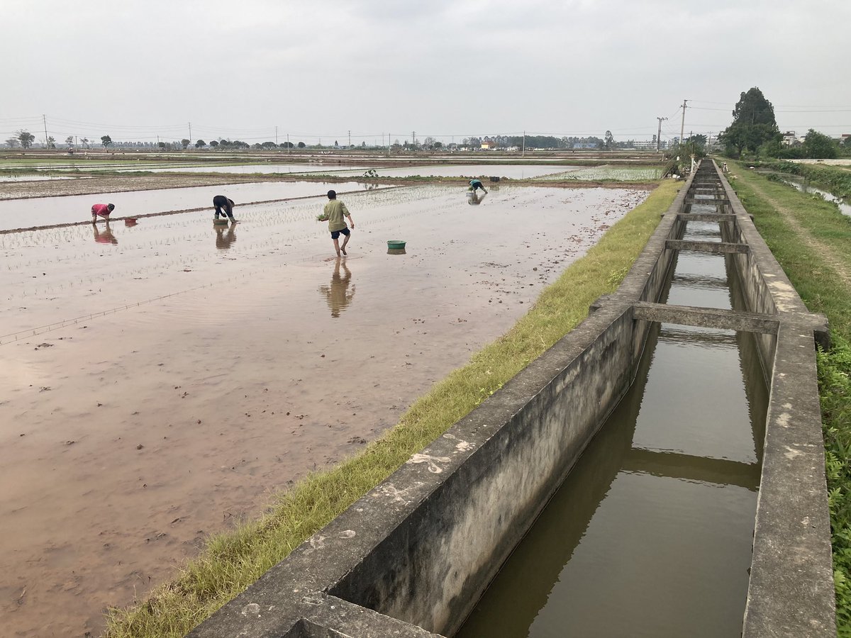 conan_herve's tweet photo. #Vietnam Visite du projet de réhabilitation des infrastructures d’#irrigation financé par @AFD_France dans le district d’#AnThi province d’#HungYen mis en service depuis 2020 :
↗️ des revenus des agriculteurs
✅ enjeux de gestion durable des infrastructures @FranceAuVietnam https://t.co/3WrTxVx1ar