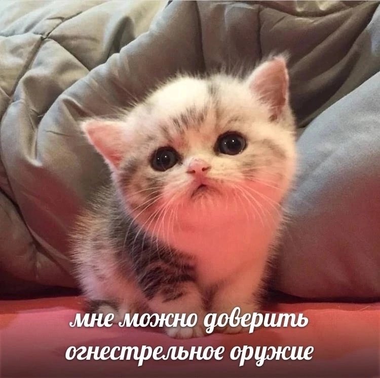 Доброе утро я только проснулся