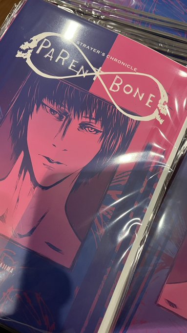 ストレイヤーズ・クロニクル ラフ画集、先行予約サイン本梱包カンリョウ!#田島昭宇 #ストレイヤーズクロニクル 