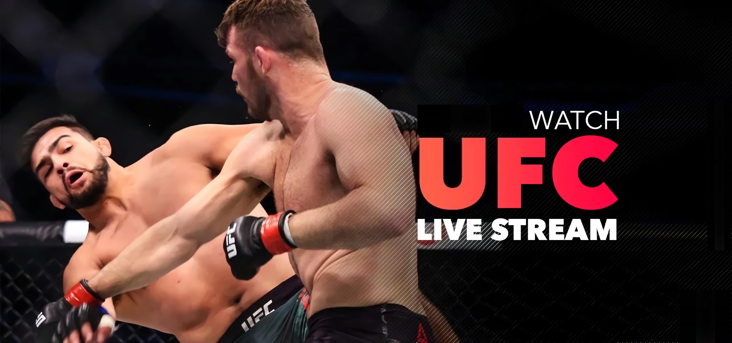 UFC