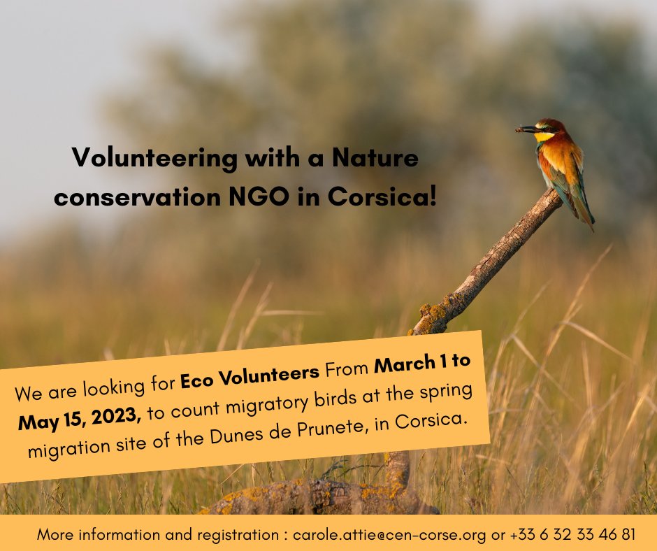 d_corse's tweet photo. The “Dunes de Prunete” is the only station in West Europa studying population trend estimates of migratory birds from Eastern Europa. You are used to participating in migratory bird counts? Come and share your knowledge with us in Corsica. 
We accommodate you for free.
#birds https://t.co/kV6CxSoFk5