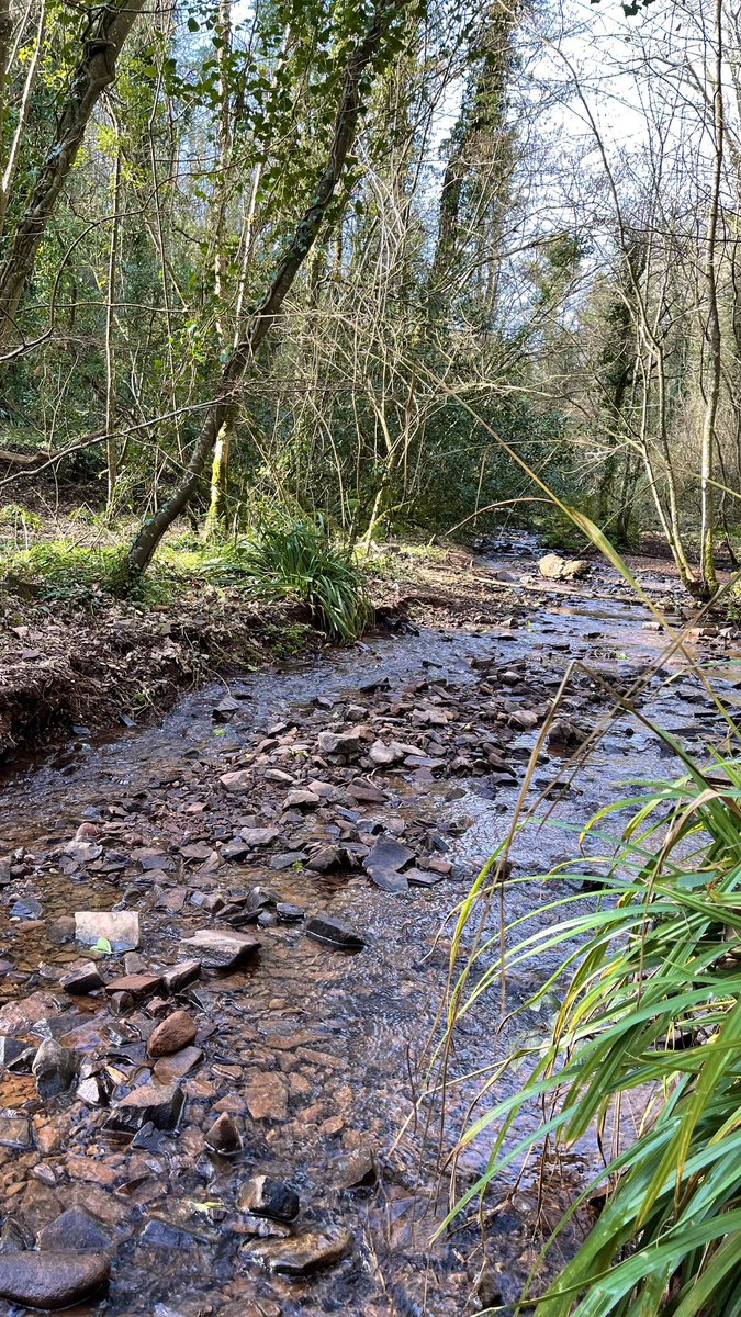 Tim Beardsmore (@beardsmoretim) on Twitter photo Mindfulness to help with my focus โค๏ธ๐๐ป <a href="/TorCoastCountry/">Torbay Coast & Countryside Trust</a> <a href="/GreatDevonDays/">Devon Days #LoveDevon</a> <a href="/DPT_NHS/">Devon Partnership NHS Trust</a> <a href="/DPT_Jobs/">Join Devon Partnership NHS Trust</a> <a href="/EnglishRiviera/">English Riviera</a>
#mindfullness
#getoutside
#greatoutdoors Mindfulness to help with my focus โค๏ธ๐๐ป <a href="/TorCoastCountry/">Torbay Coast & Countryside Trust</a> <a href="/GreatDevonDays/">Devon Days #LoveDevon</a> <a href="/DPT_NHS/">Devon Partnership NHS Trust</a> <a href="/DPT_Jobs/">Join Devon Partnership NHS Trust</a> <a href="/EnglishRiviera/">English Riviera</a>
#mindfullness
#getoutside
#greatoutdoors