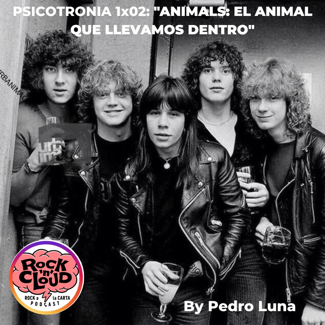 rockncloudweb's tweet photo. 👉 Nuestro tipo más duro, Pedro Luna, nos regala una excitante y poco habitual selección de temas de Heavy Metal y otras perlas donde, el nexo de unión entre ellos, es que todas las bandas tienen nombre de animales. 

Bienvenidx al animalismo rockero!

🌐 https://t.co/15Ohb5jRGs https://t.co/REDwoLCZRN