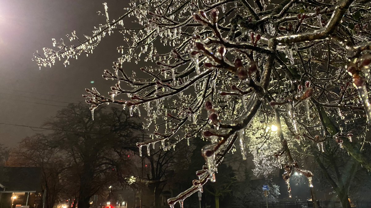 Some scenes from a very icy Kalamazoo.