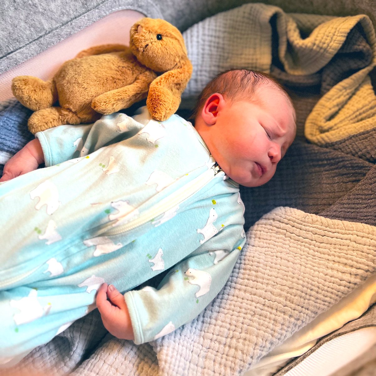 ben steers tweet media