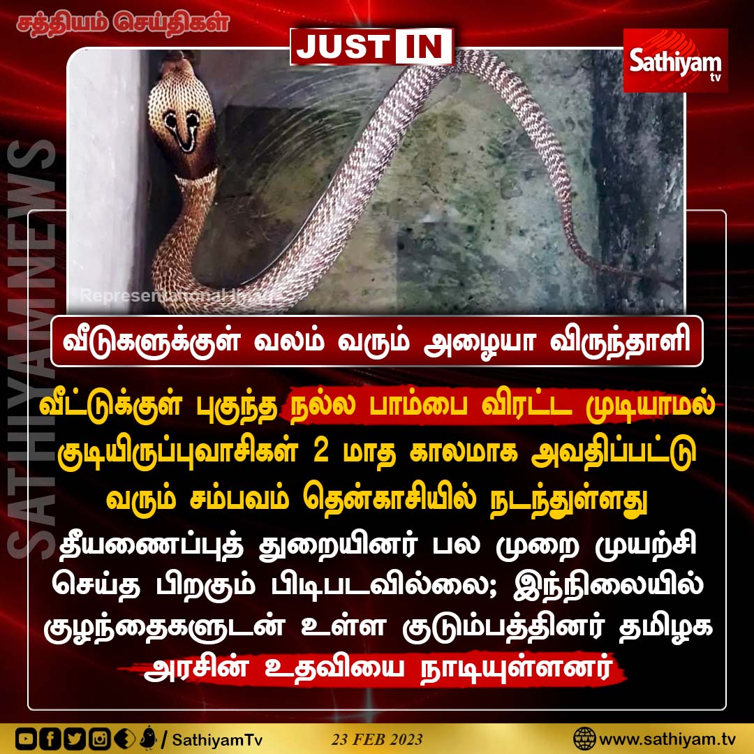 sathiyamnews's tweet photo. வீட்டுக்குள் புகுந்த நல்ல பாம்பை விரட்ட முடியாமல்
குடியிருப்புவாசிகள் 2 மாத காலமாக அவதிப்பட்டு
வரும் சம்பவம் தென்காசியில் நடந்துள்ளது
#Snake #snaketrap #protection #SathiyamNews #SathiyamTV https://t.co/rdlVj3sJoz