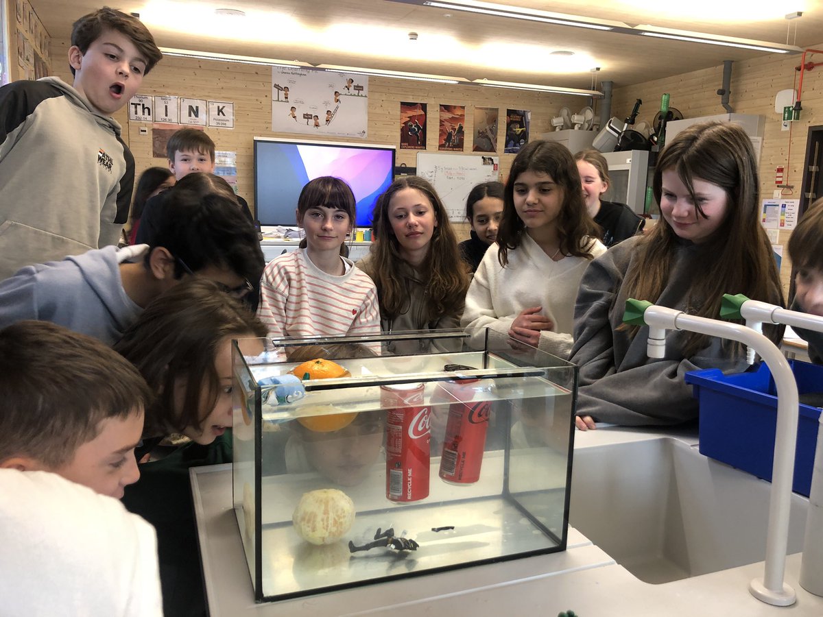 MrsVNielsen's tweet photo. G6 students density Challenges @ISZL 1. How can we calculate the %of sugar in @CocaCola Classic using density?
2. How can we make the Power Ranger float?
3. Why does an orange float but a peeled one sink? #inquiry #scienceisfun #density #NSTA @AllThingsMidSch https://t.co/NoVFGoT2lU