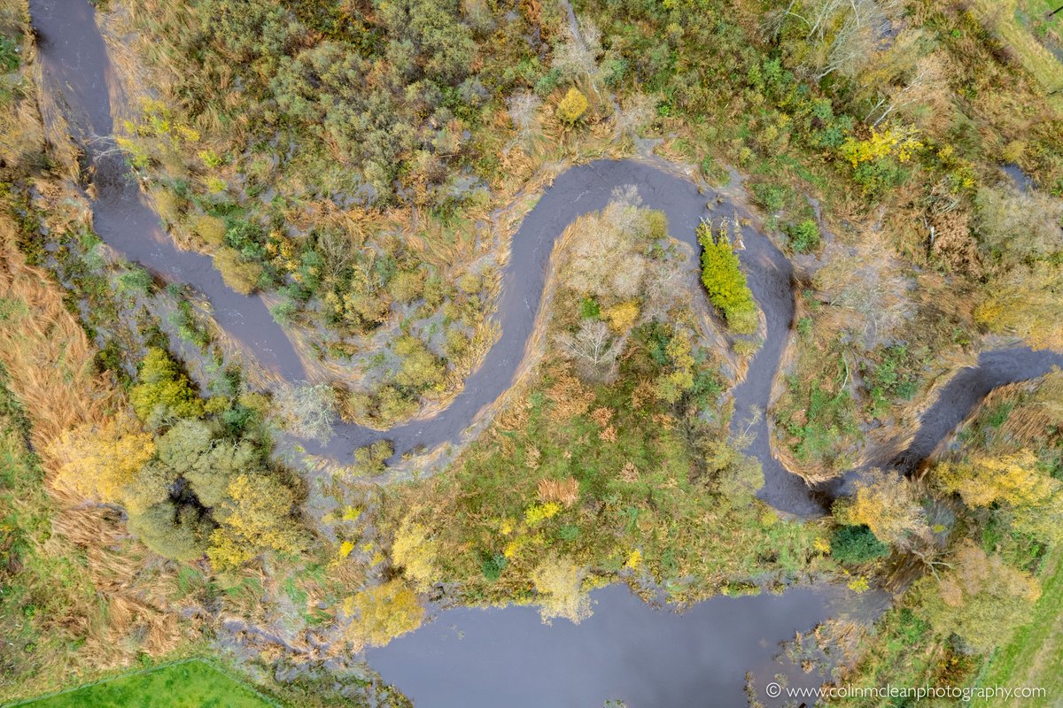 Delighted at the Global Recognition for our Eddleston Water flood resilience &amp; biodiversity project which has been chosen as a UNESCO Ecohydrology Demonstration Site – the only one in the UK.
Read more here: bit.ly/3XZKFAq  #climatechange #Scotland
