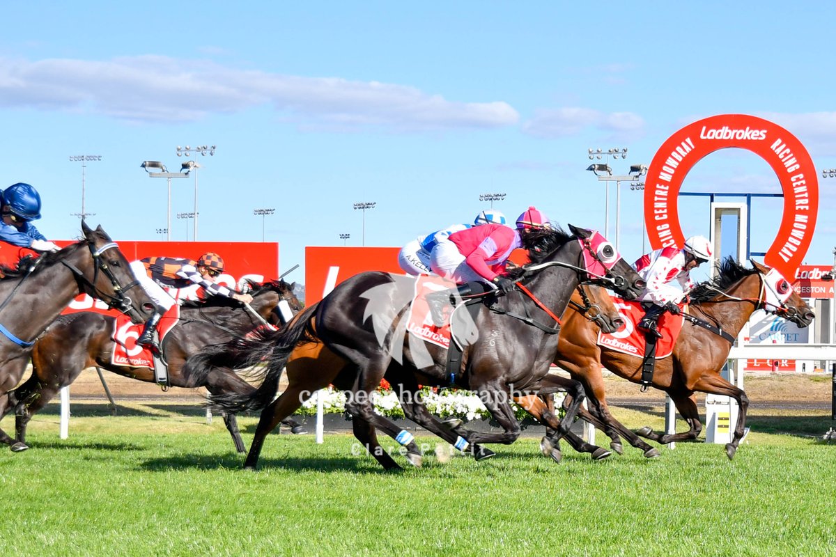 cpat13's tweet photo. The final feature race of the Tassie Summer Carnival was the @Armidale_Stud Vamos Stakes. It was a local victory with Jaja Chaboogie getting a Group3 next to her name. Trained by Julie Richards and ridden a peach by David Pires. #TF #tasracing #ArmidaleStud #WiddenStud https://t.co/cu8ZWrcJ9W