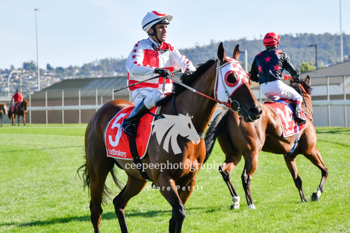 cpat13's tweet photo. The final feature race of the Tassie Summer Carnival was the @Armidale_Stud Vamos Stakes. It was a local victory with Jaja Chaboogie getting a Group3 next to her name. Trained by Julie Richards and ridden a peach by David Pires. #TF #tasracing #ArmidaleStud #WiddenStud https://t.co/cu8ZWrcJ9W