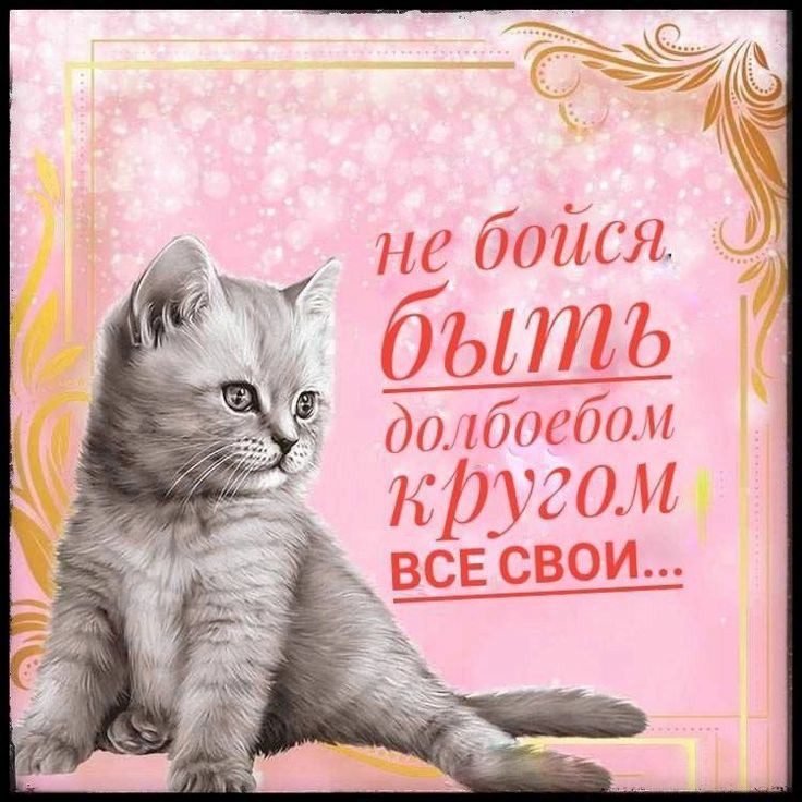 Nowlistenm's tweet photo. Хочу честно признаться я уже много лет воспринимаю твиттер как вот эту замечательную картинку https://t.co/cCTL2hjkLX