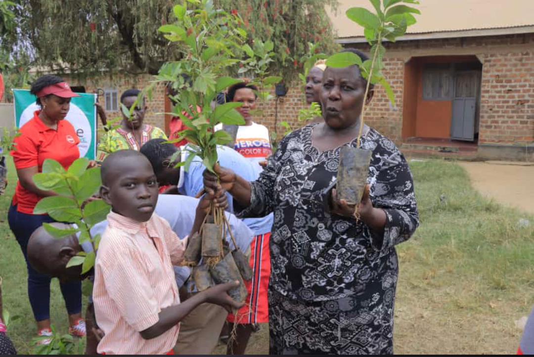 My Tree Initiative Organization tweet media